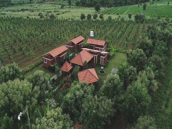 Set up your own ‘food forests’ with Hosachiguru’s newly launched 100 acres managed farm plots on the outskirts of Bengaluru